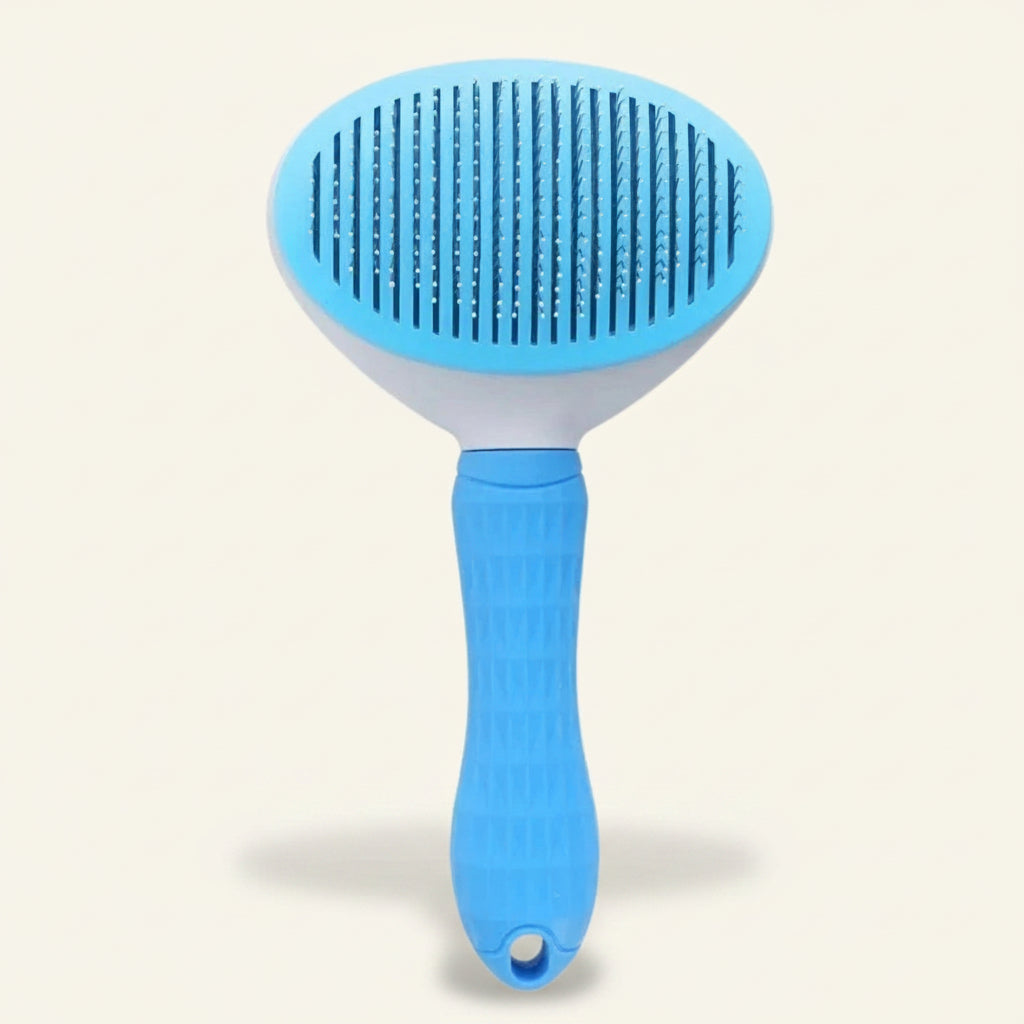 Brosse pour chien auto-nettoyante, coloris bleu Dog Rider.