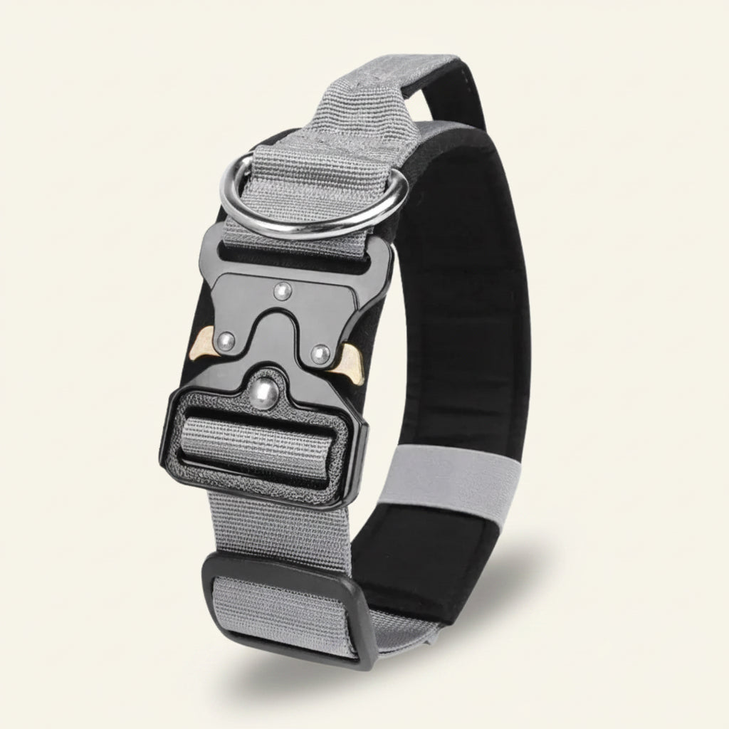 Collier pour chien tactique Dog Rider, coloris gris