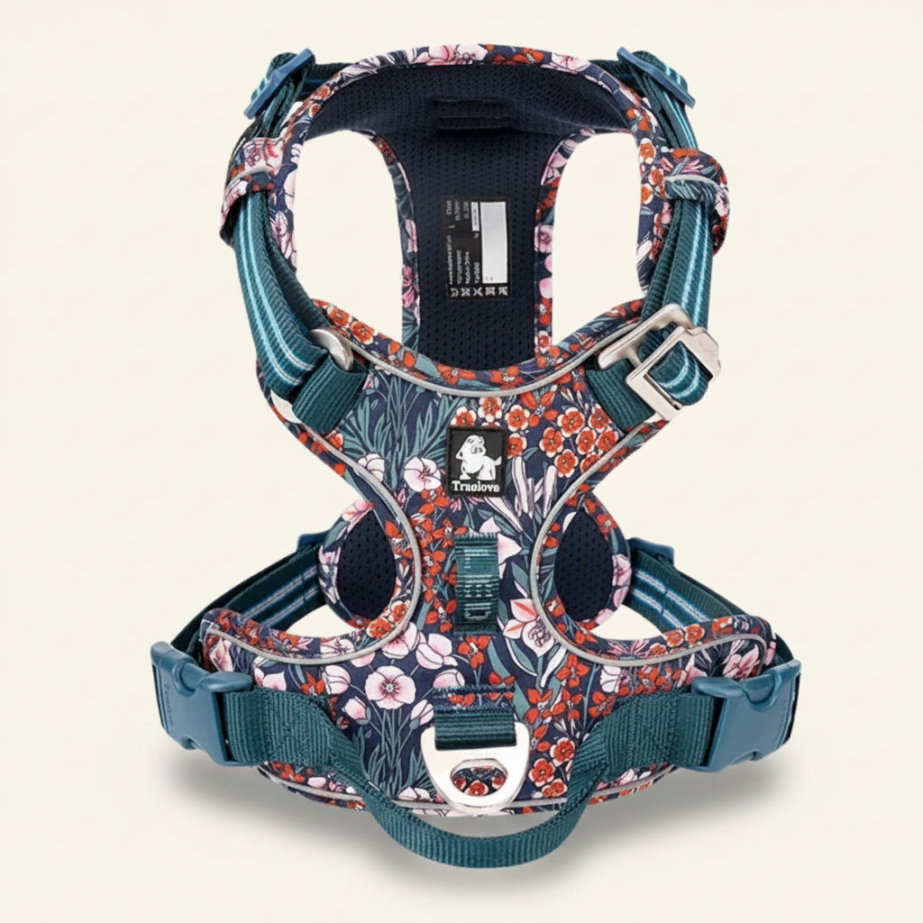 Harnais pour chien anti-traction réfléchissant à motifs multicolores