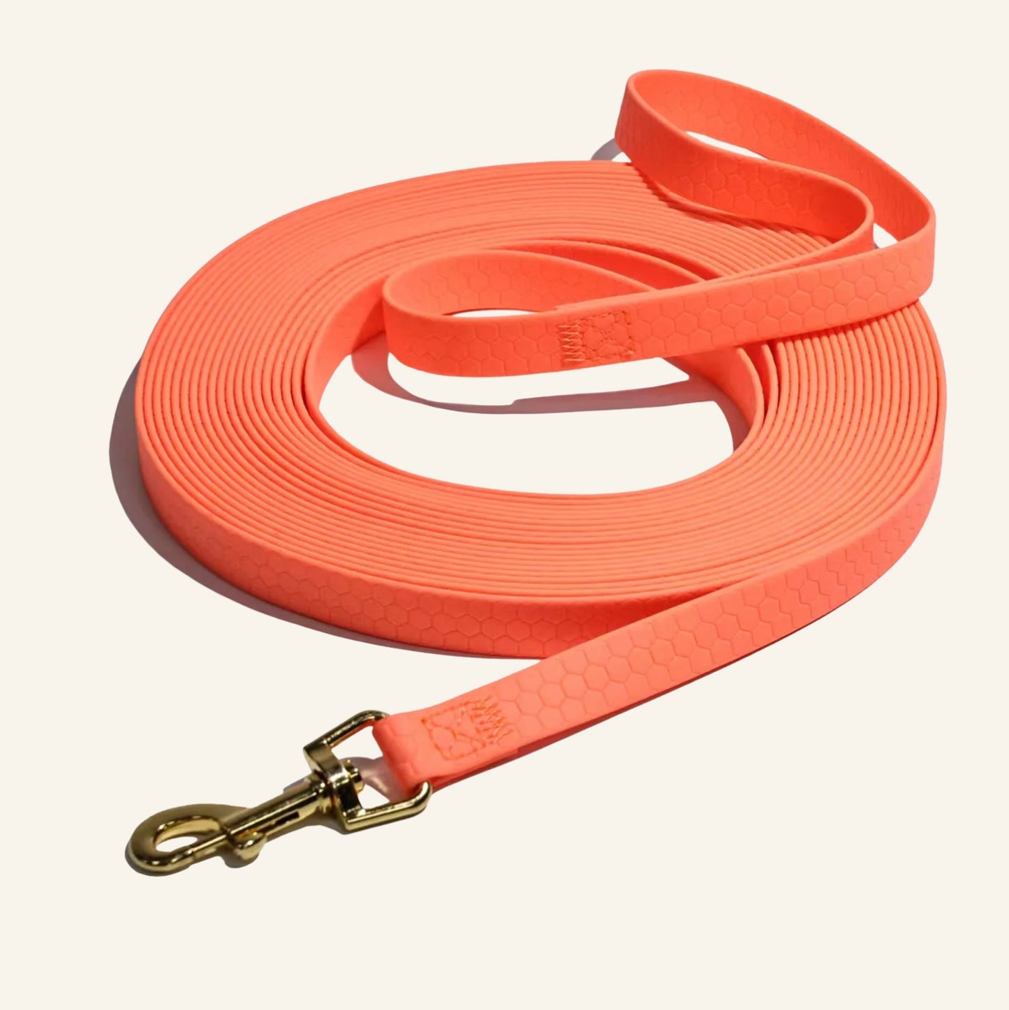 Longe d'entraînement pour chien en PVC de couleur rouge avec mousqueton métallique robuste
