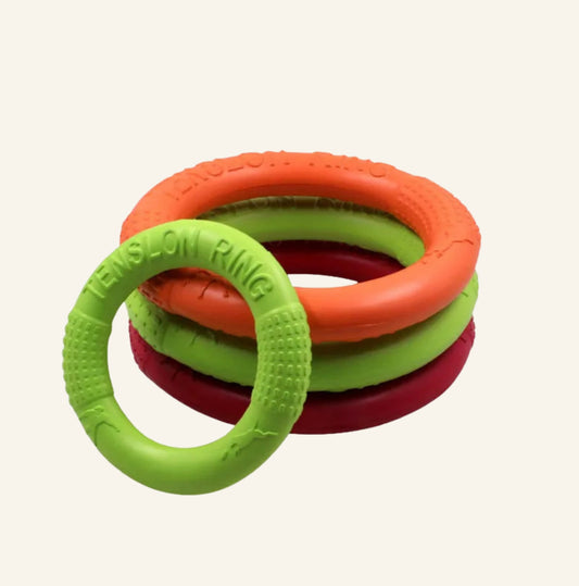 Collection d'anneaux de traction et lancer Dog Rider en mousse EVA, disponibles en plusieurs couleurs.