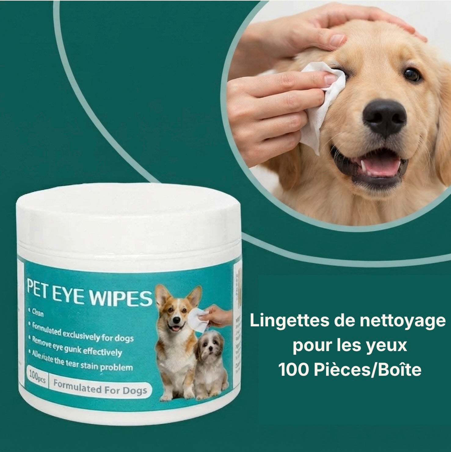 Un chien se faisant nettoyer délicatement le contour des yeux avec une lingette Dog Rider, posé à côté de la boîte de 100 pièces