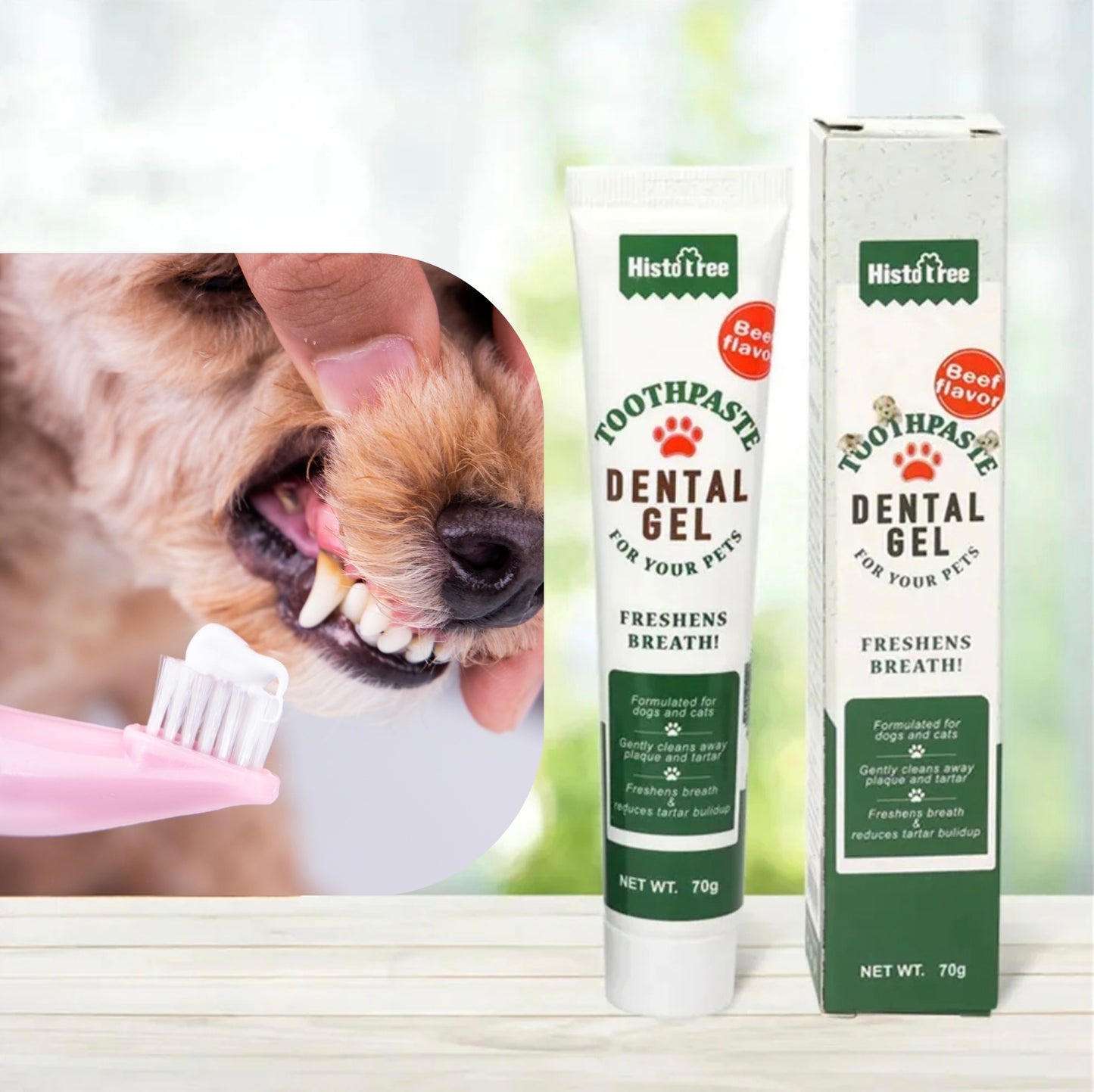 Un chien recevant un soin bucco-dentaire avec le dentifrice Dog Rider pour une haleine fraîche.
