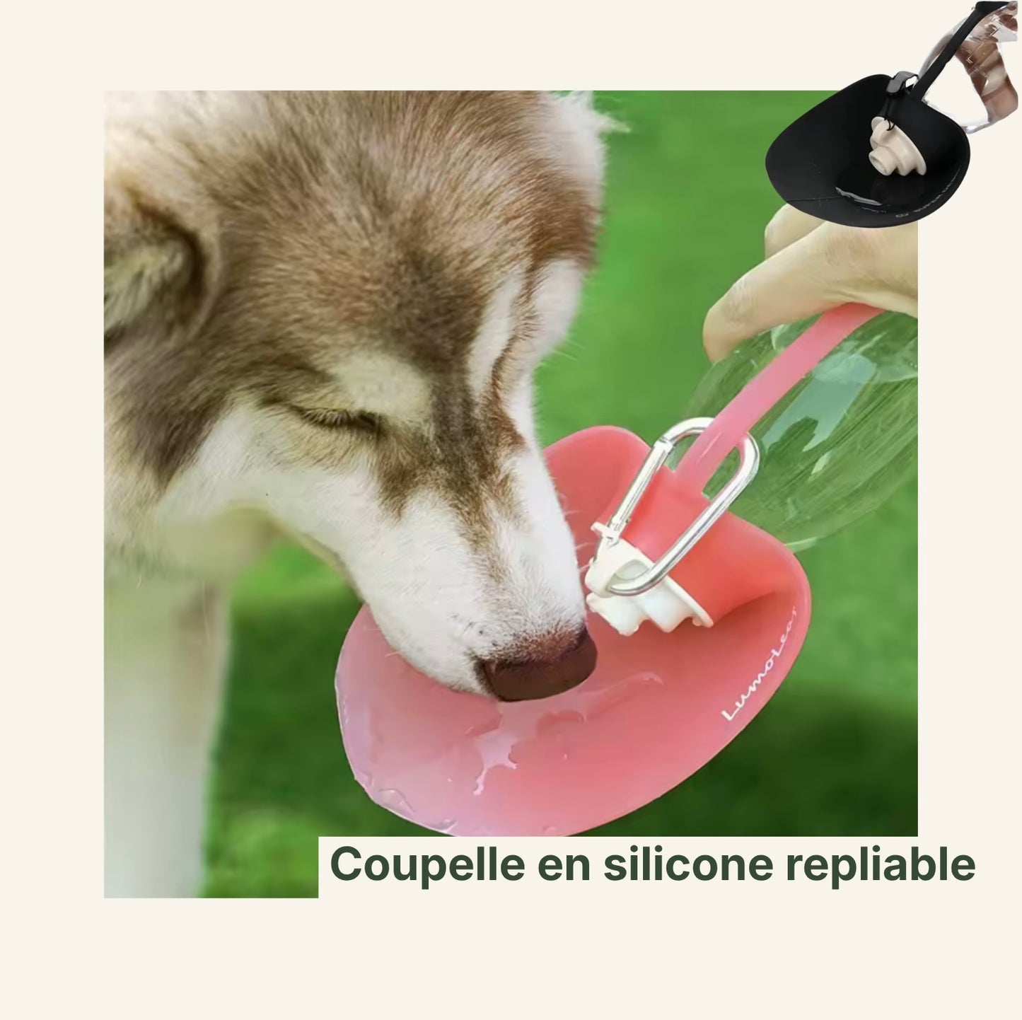 Un chien buvant dans une gourde adaptée avec galle d’eau incorporée 