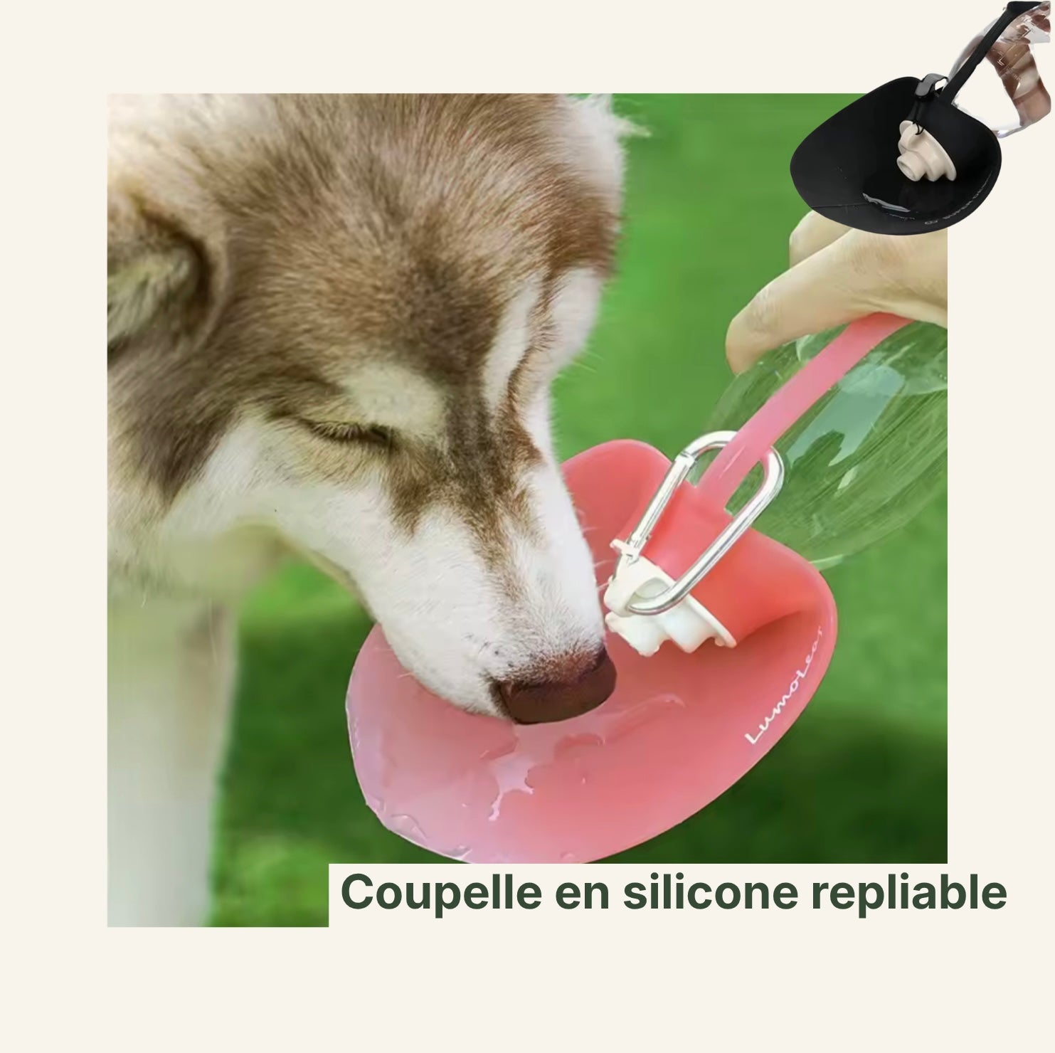 Un chien buvant dans une gourde adaptée avec galle d’eau incorporée 