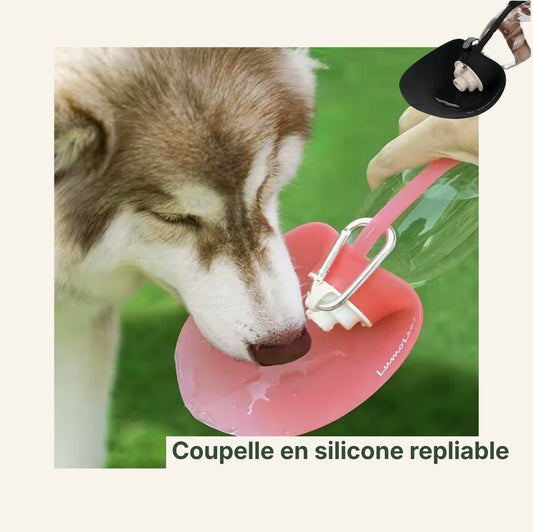 Un chien buvant dans une gourde adaptée avec galle d’eau incorporée 