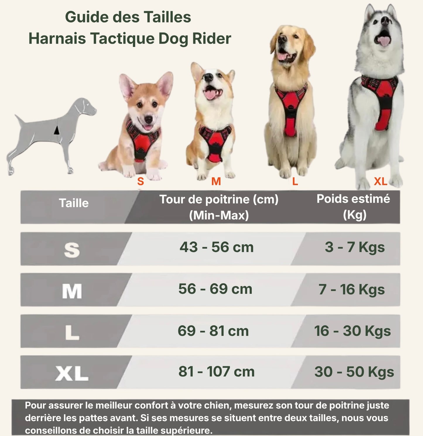 Tableau récapitulatif des tailles pour choisir le harnais Dog Rider adapté à votre chien.