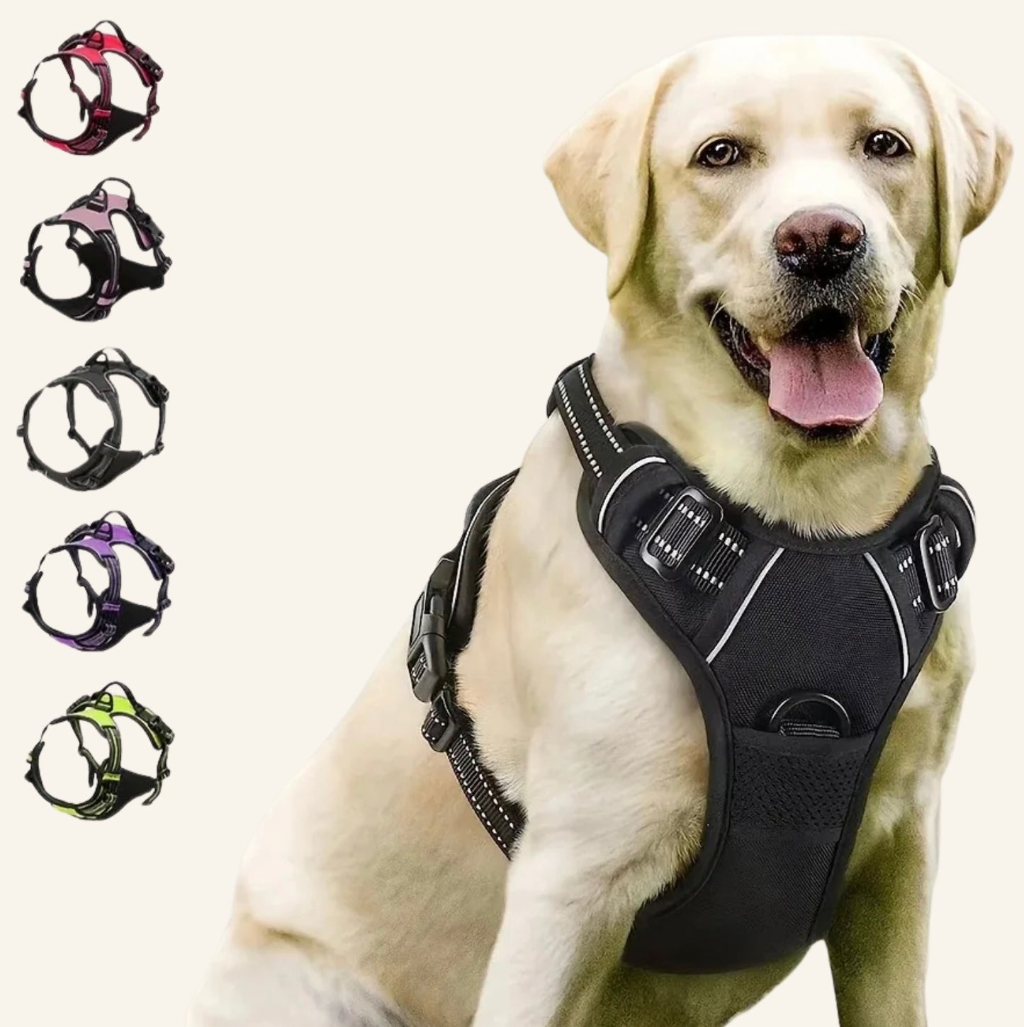 Chien labrador portant le harnais tactique Dog Rider noir avec bandes réfléchissantes.