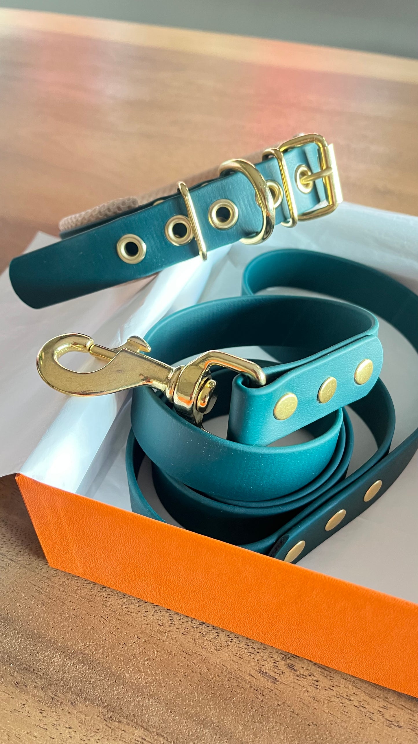 Collier & Laisse Set d'Exception - Édition Limitée "Vert Forêt & Laiton"