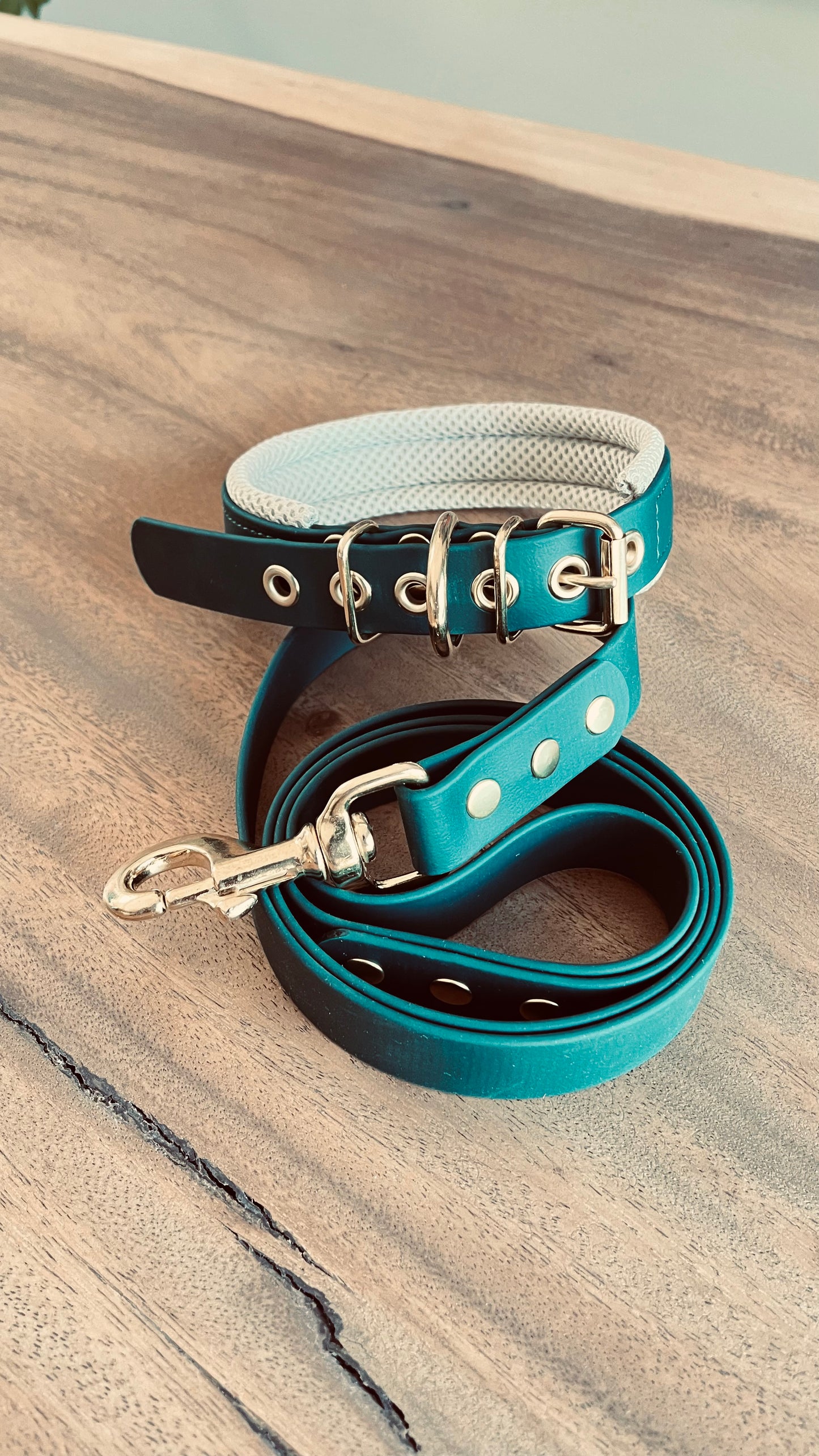 Collier & Laisse Set d'Exception - Édition Limitée "Vert Forêt & Laiton"