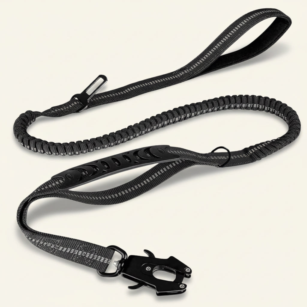 Laisse tactique noire Dog Rider avec système anti-traction et bandes réfléchissantes.