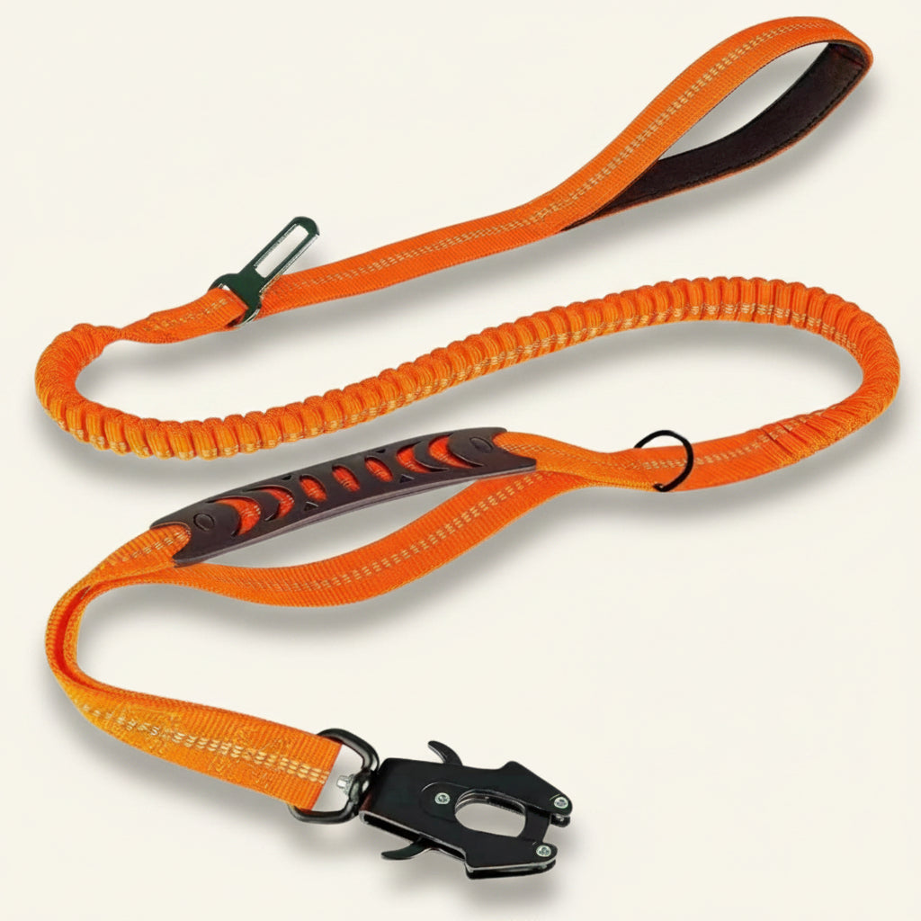 Laisse tactique pour chien Dog Rider couleur orange, idéale pour le trekking.