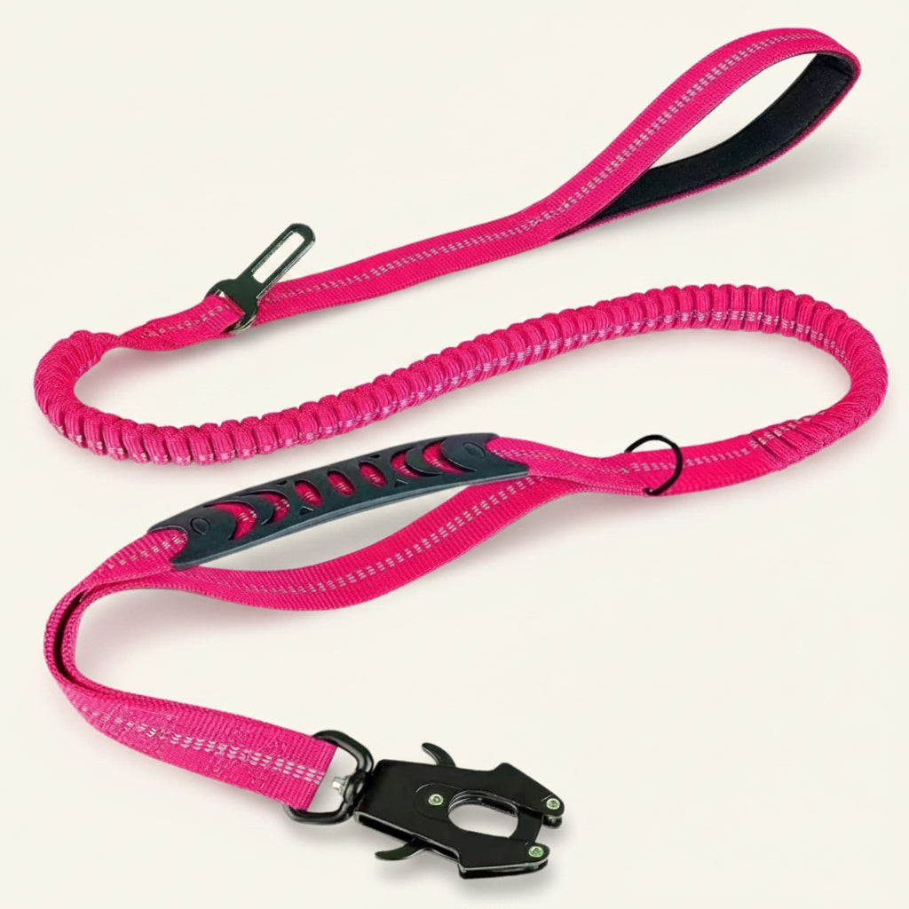 Laisse tactique pour chien Dog Rider couleur rose, style tactique.