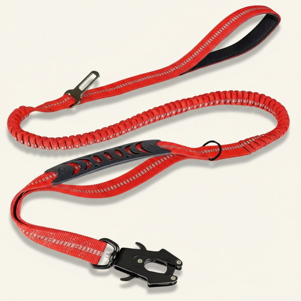 Laisse tactique pour chien Dog Rider couleur rouge haute visibilité pour la randonnée.