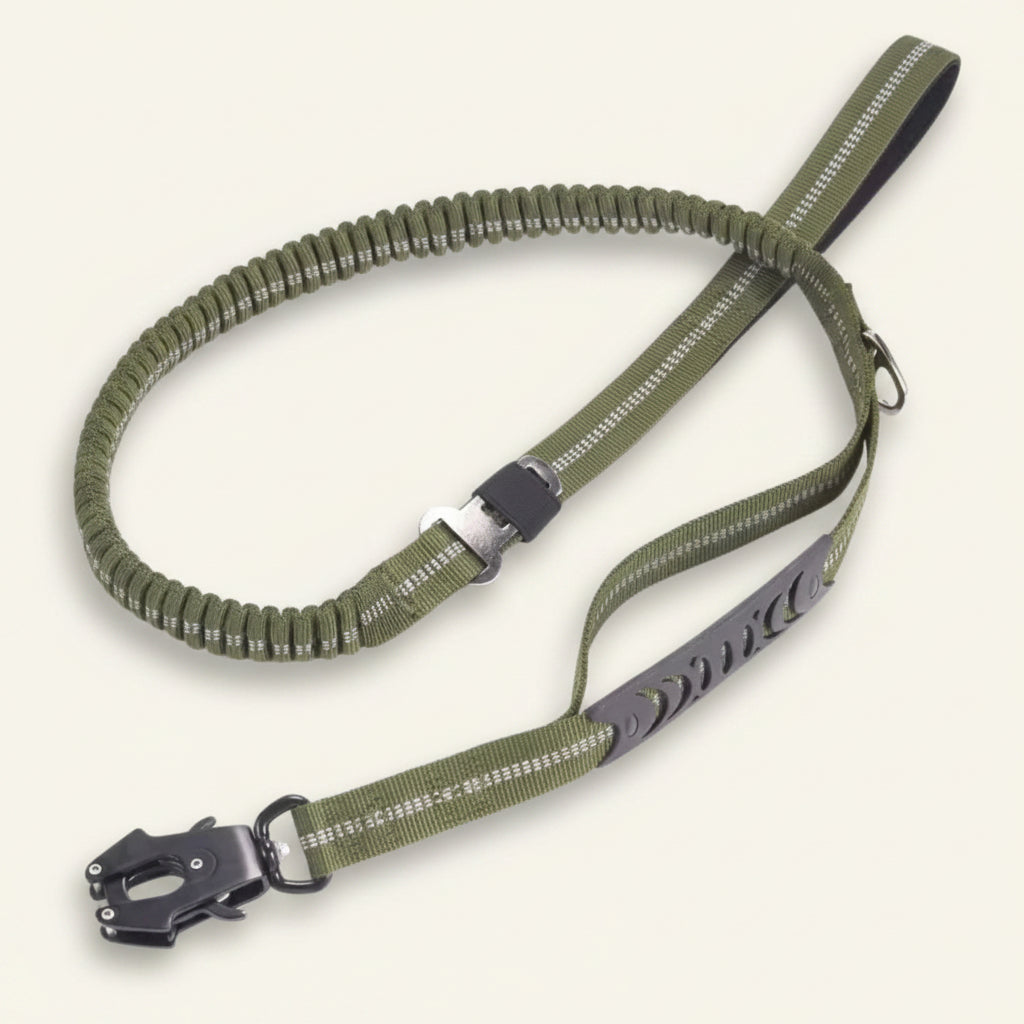 Laisse tactique pour chien Dog Rider couleur vert militaire, robuste et ajustable.
