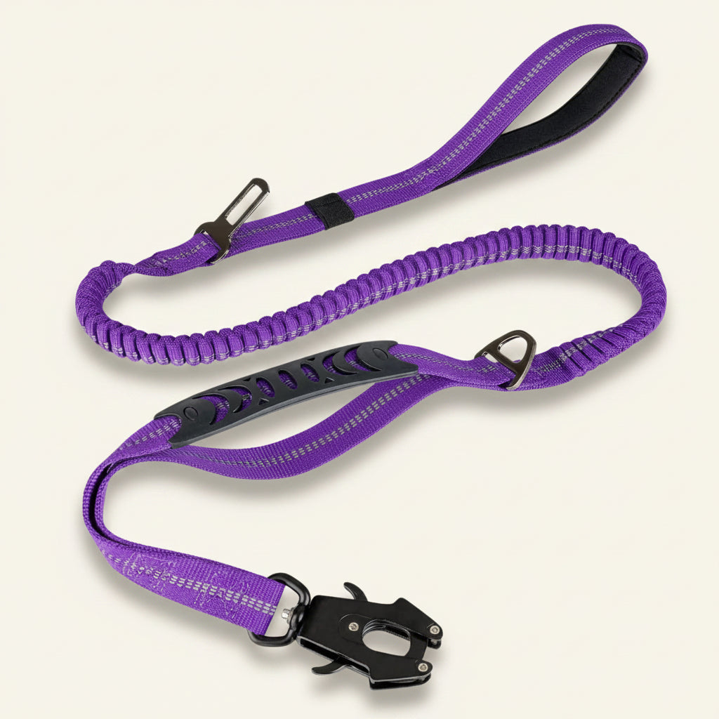 Laisse tactique pour chien Dog Rider couleur violette.