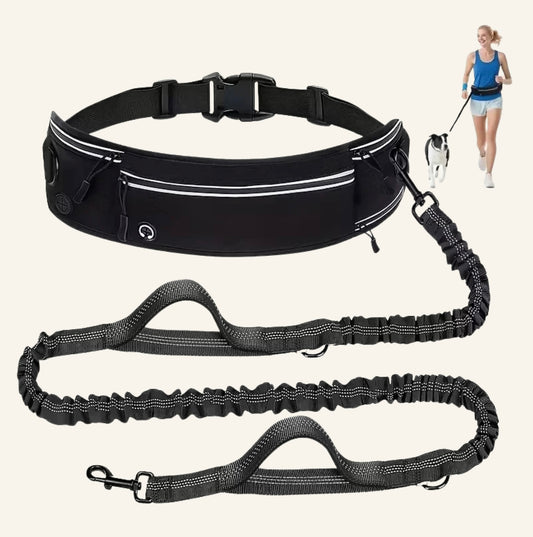 Ensemble laisse élastique anti-chocs et ceinture de jogging noire avec pochette de rangement Dog Rider