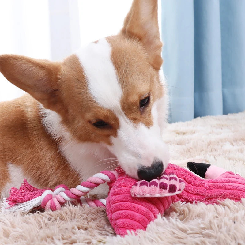 Peluche pour chien avec corde - Flamant Rose 🦩