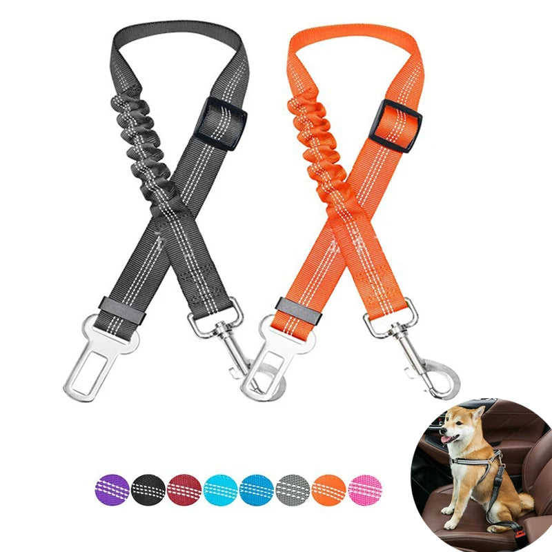 Ceinture de Sécurité Protection pour votre Chien en voiture