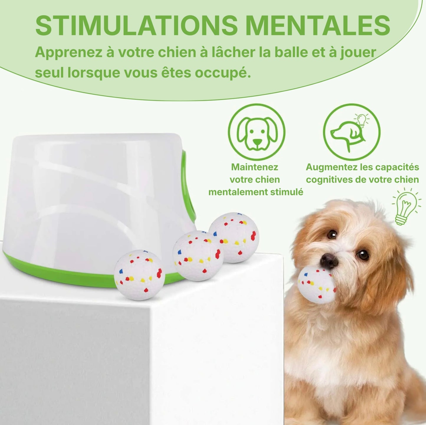 Jouet distributeur de balle pour chien favorisant la stimulation mentale et les capacités cognitives.