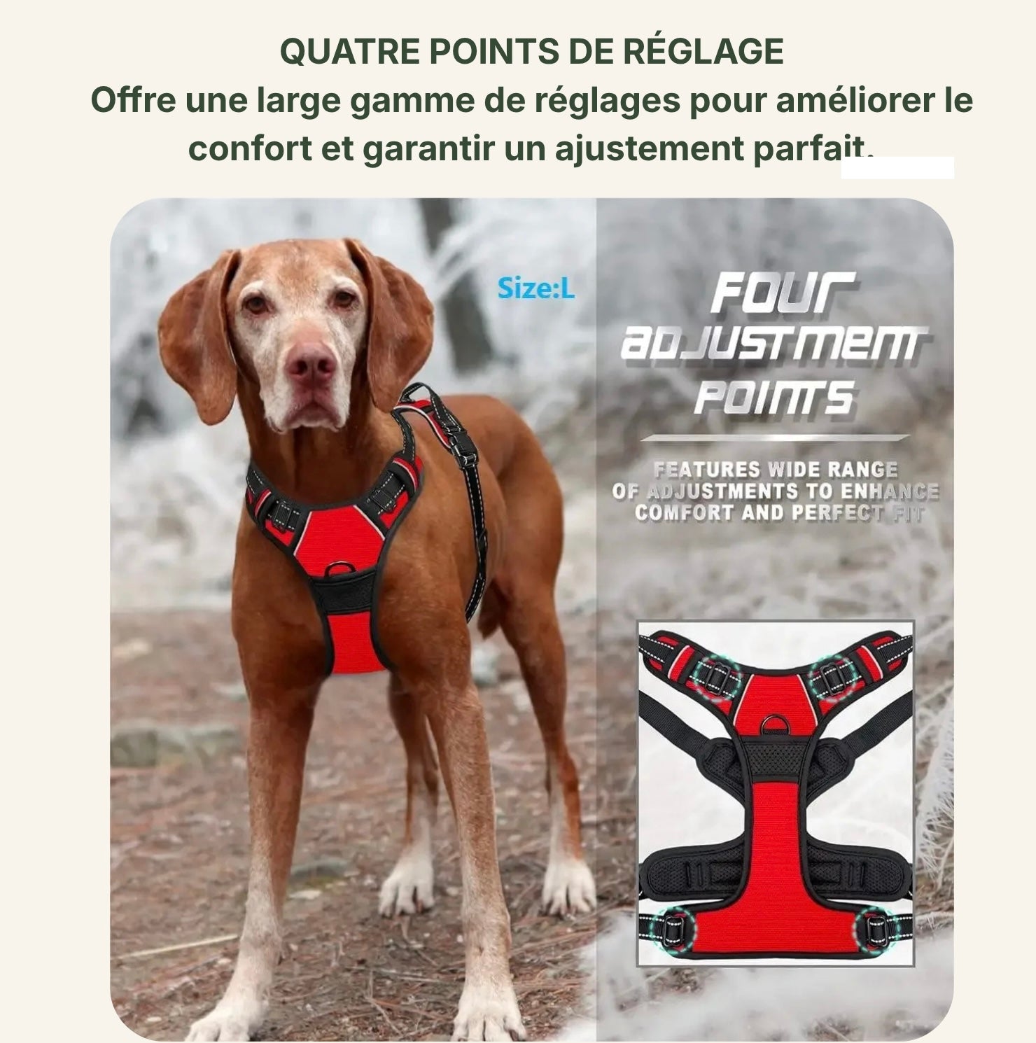 Gros plan sur le système de boucles à 4 points de verrouillage du harnais tactique Dog Rider.