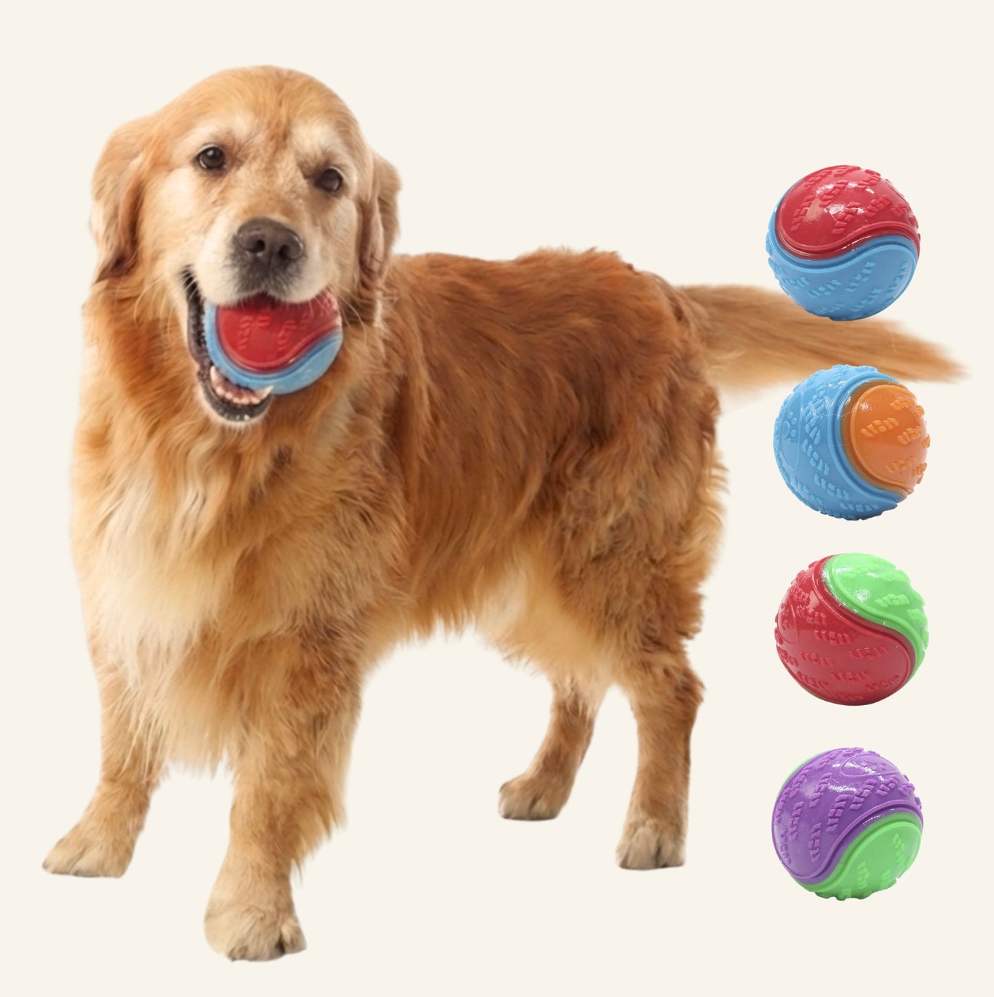 Chien tenant une balle élastique Dog Rider dans sa gueule en arrière-plan