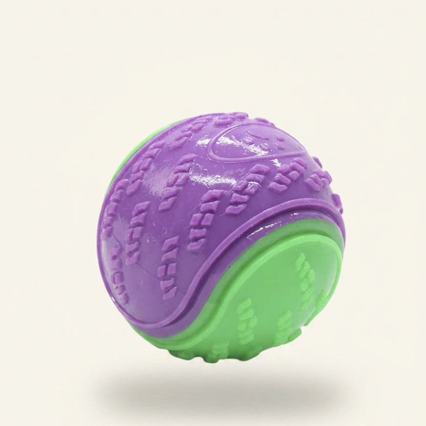 Balle de jeu pour chien Dog Rider bicolore, violette et verte.