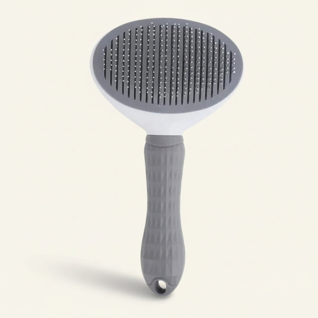 Brosse pour chien auto-nettoyante, coloris gris Dog Rider.