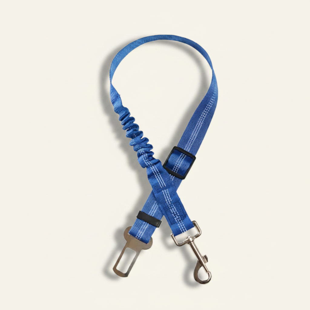 Ceinture de sécurité pour chien, coloris bleu Dog Rider.