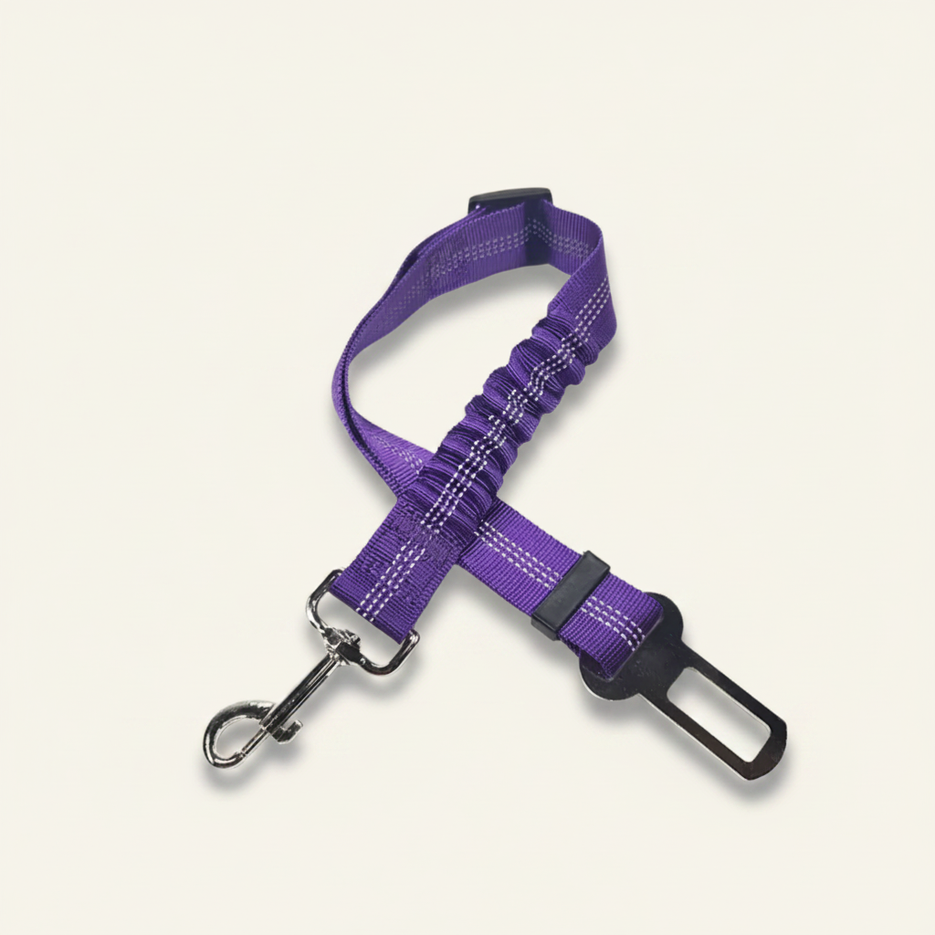 Ceinture de sécurité pour chien, coloris violet Dog Rider.