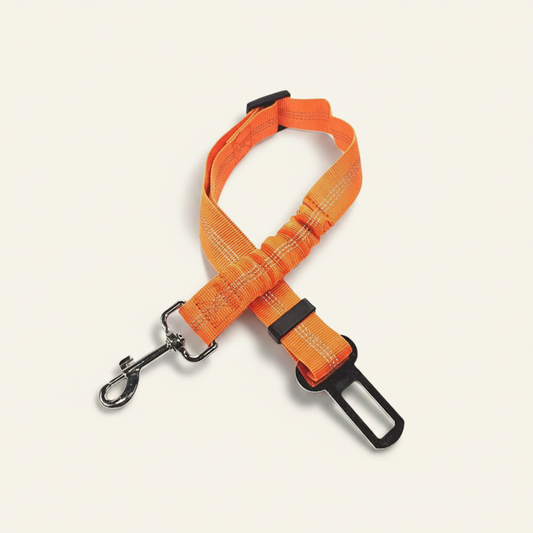 Ceinture de sécurité pour chien, coloris orange, protection absolue en voiture Dog Rider.