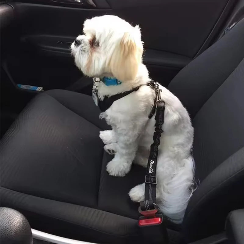 Chien attaché en toute sécurité sur le siège auto avec une ceinture Dog Rider.
