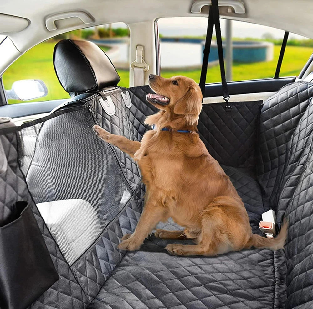 Chien confortablement installé sur le hamac de protection auto Dog Rider.