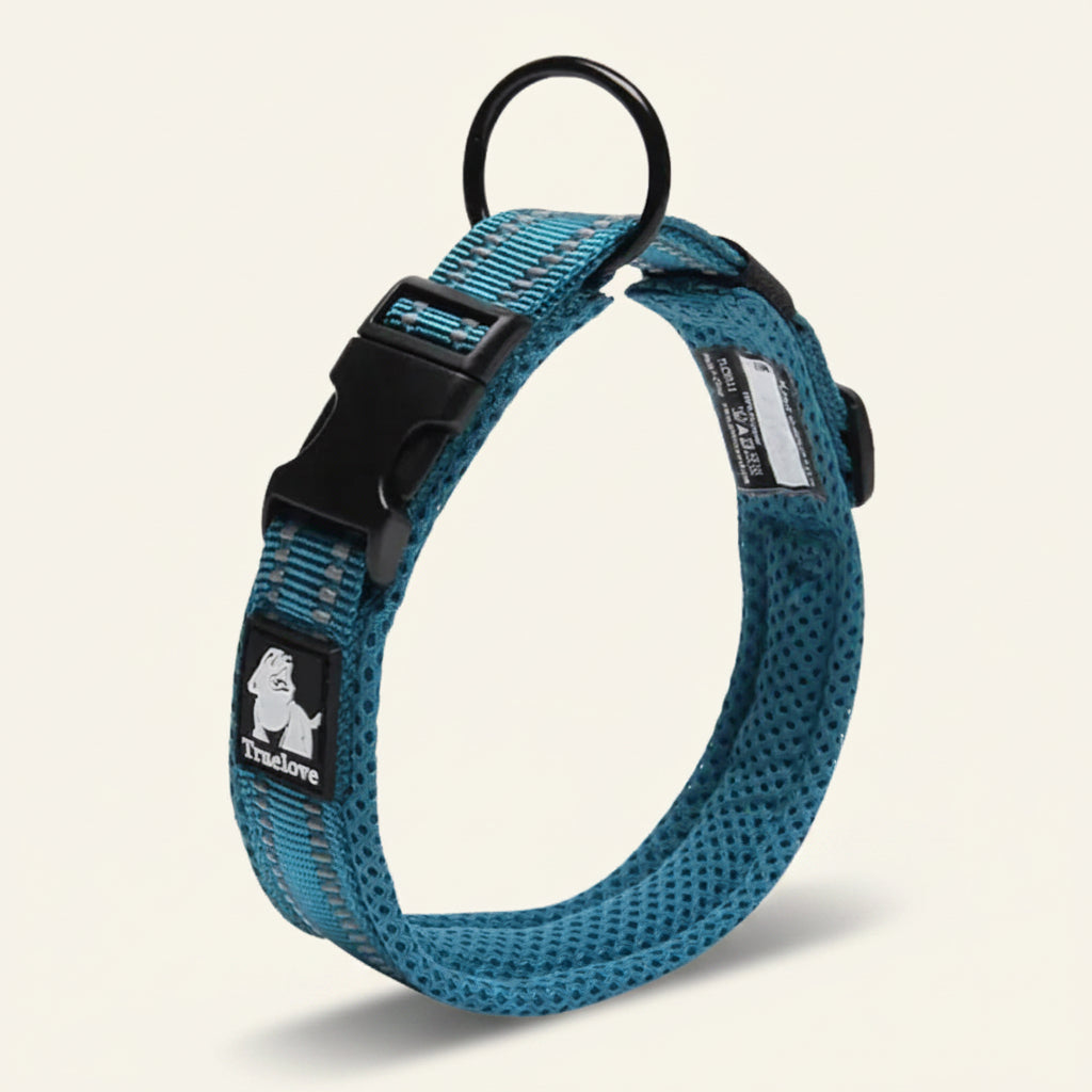 Collier pour chien réfléchissant couleur bleu canard
