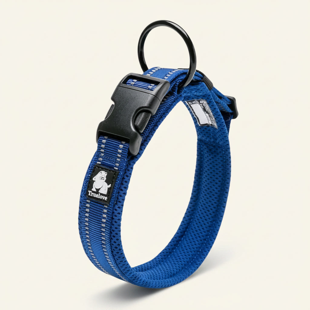 Collier pour chien réfléchissant couleur bleu