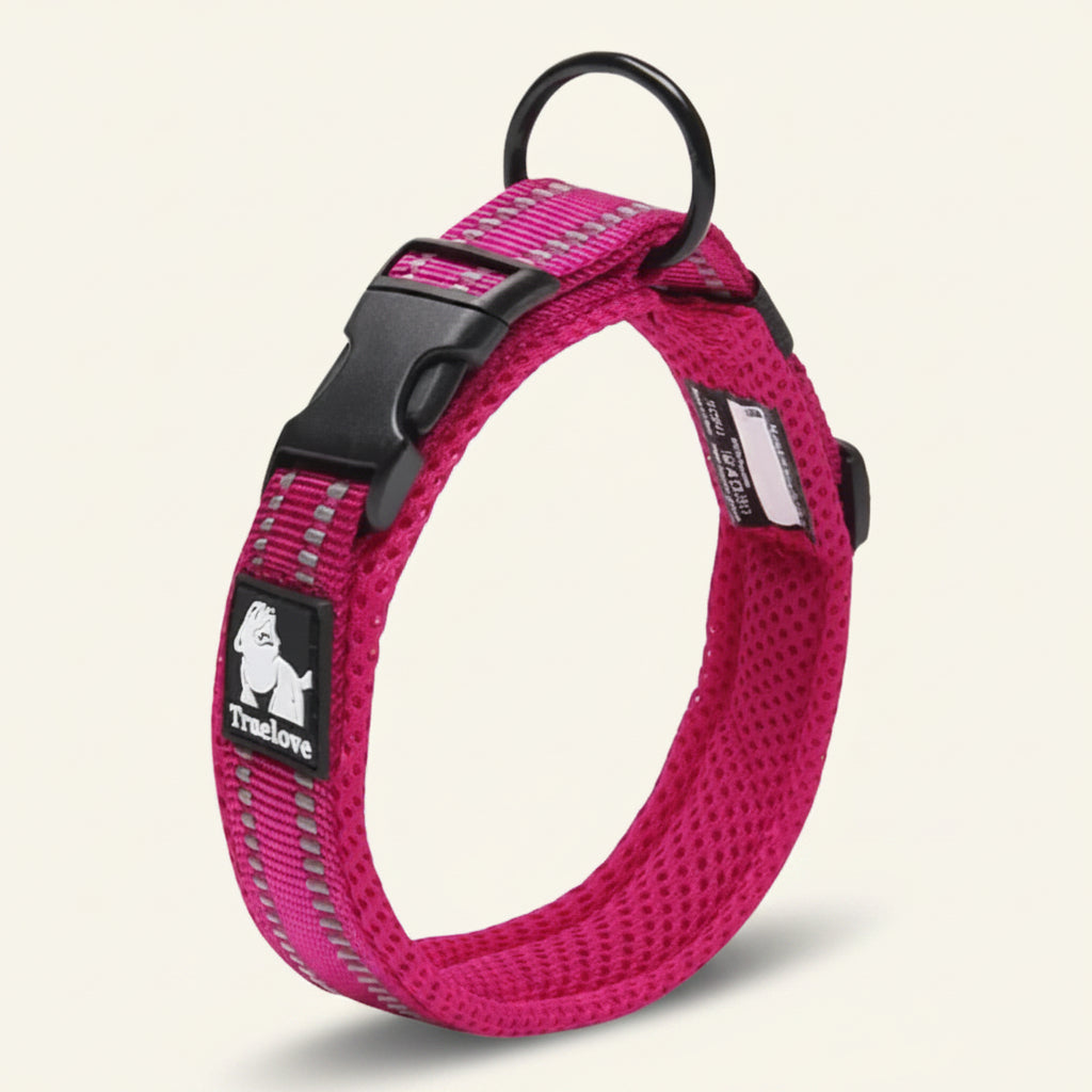 Collier pour chien réfléchissant couleur Fuchsia 