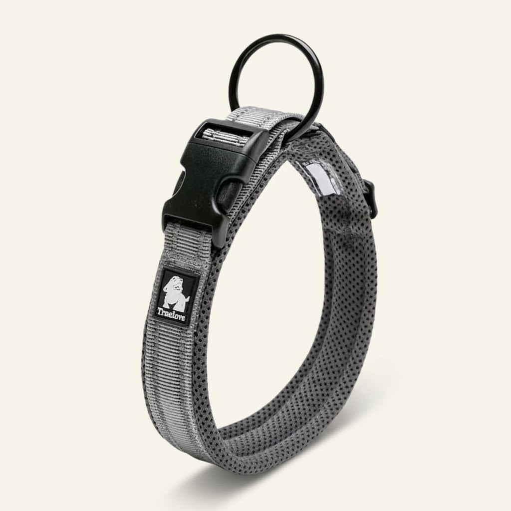 Collier pour chien réfléchissant couleur gris