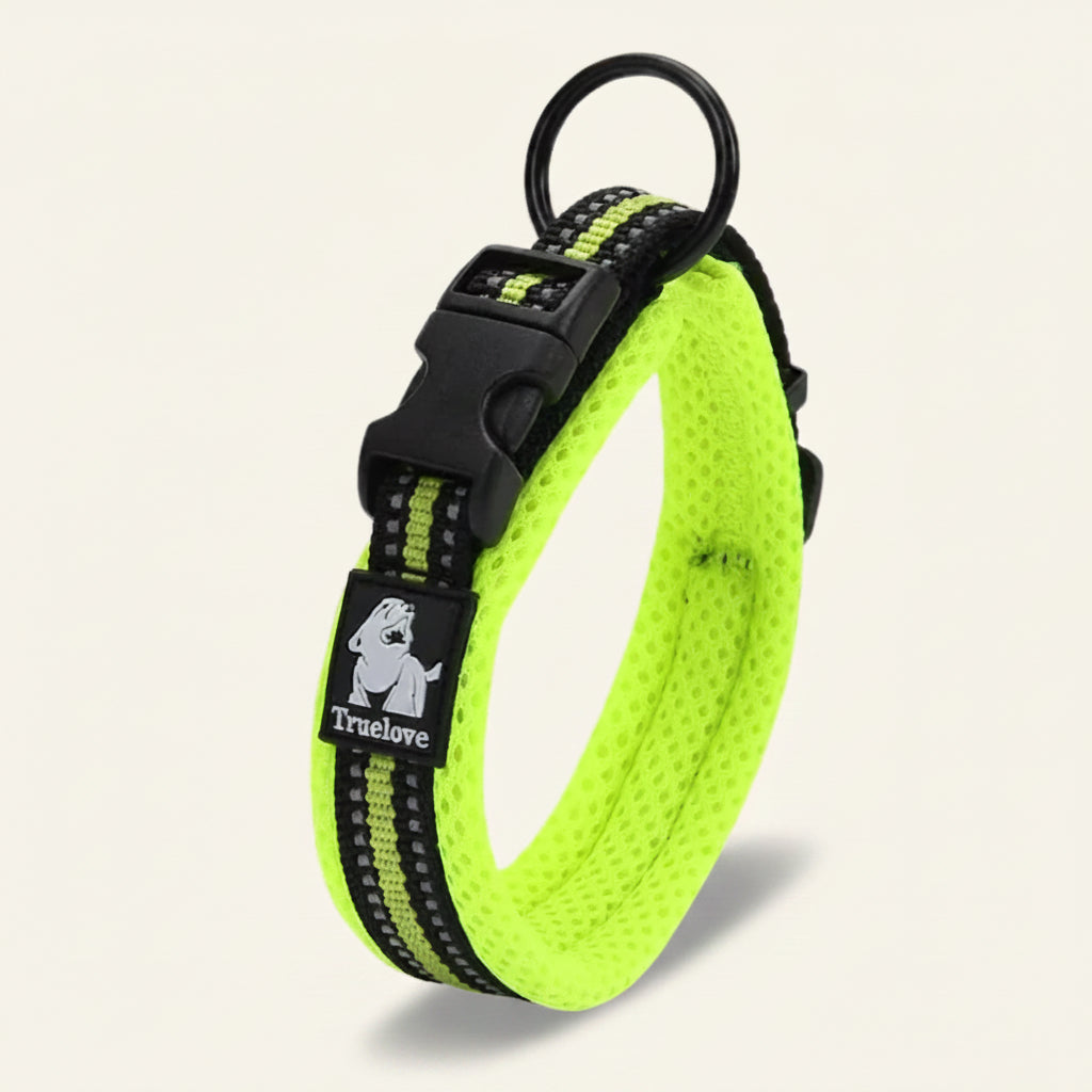 Collier pour chien réfléchissant couleur jaune fluo