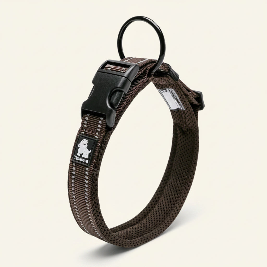 Collier pour chien réfléchissant couleur marron 