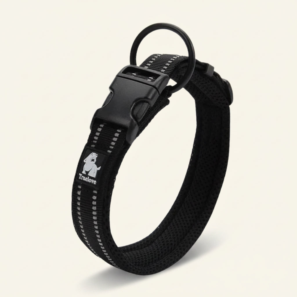 Collier pour chien réfléchissant couleur noir