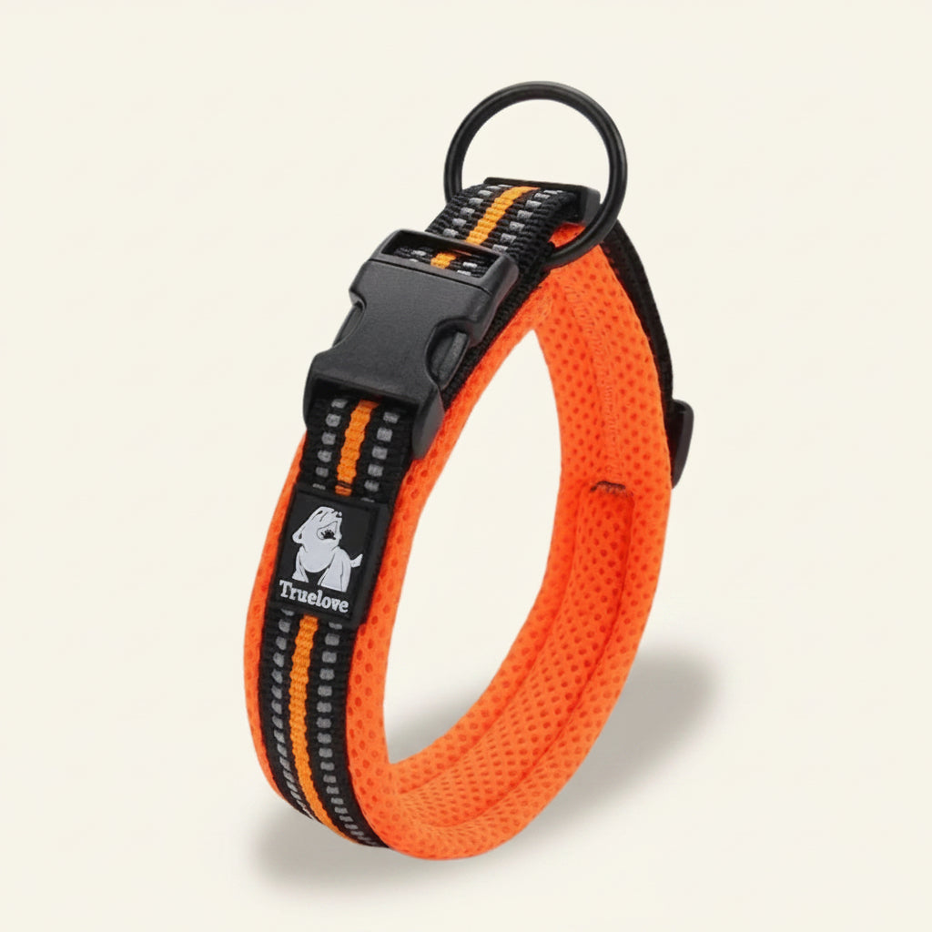 Collier pour chien réfléchissant et confortable orange Dog Rider