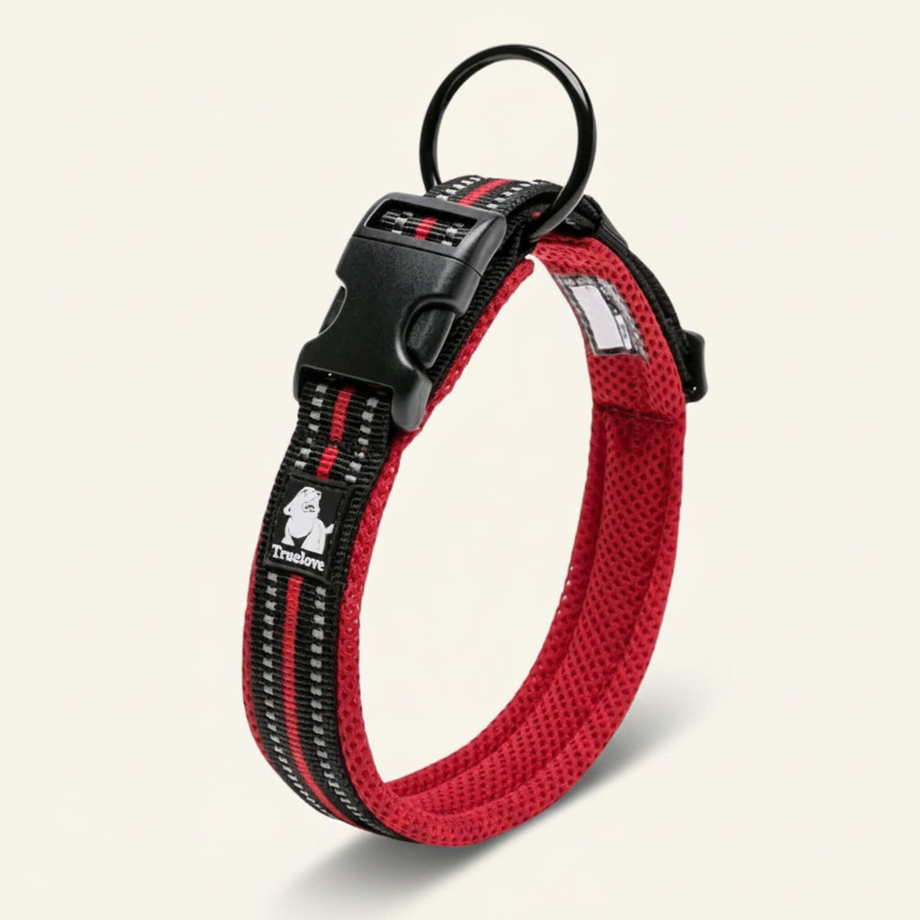Collier pour chien réfléchissant couleur rouge