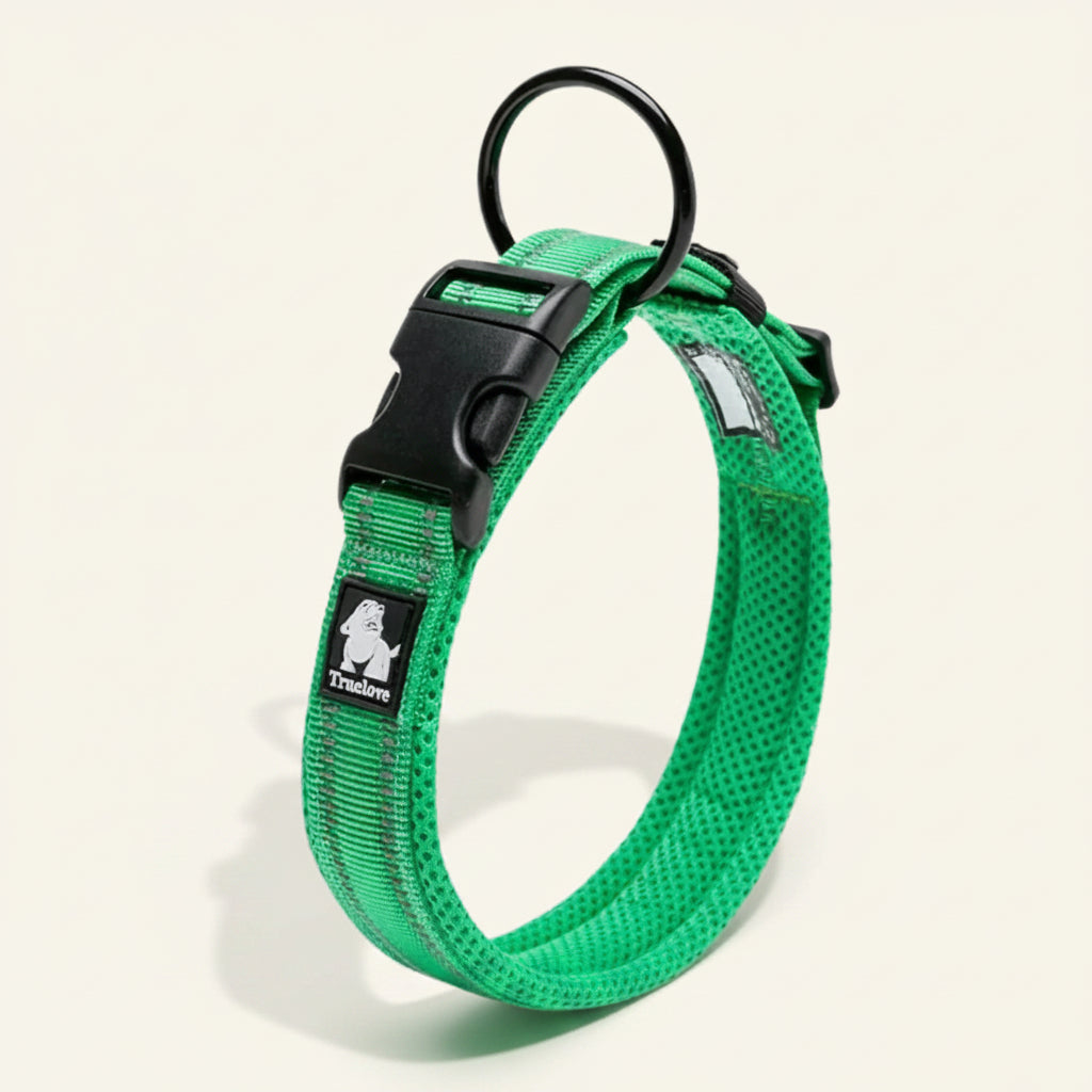 Collier pour chien réfléchissant couleur vert