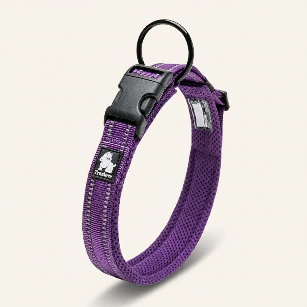 Collier pour chien réfléchissant couleur violet