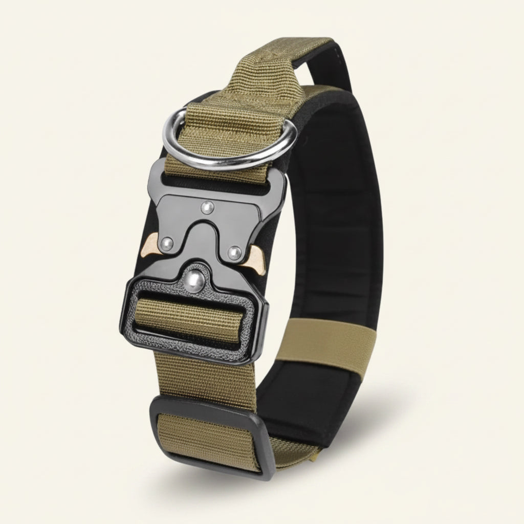 Collier pour chien tactique Dog Rider, coloris Beige 