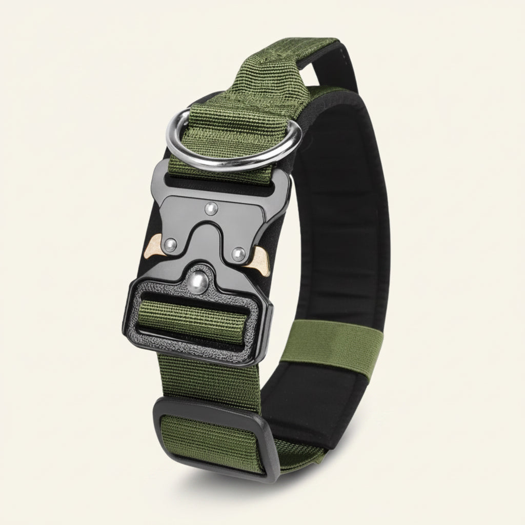 Collier pour chien tactique à boucle verrouillable Dog Rider, coloris vert