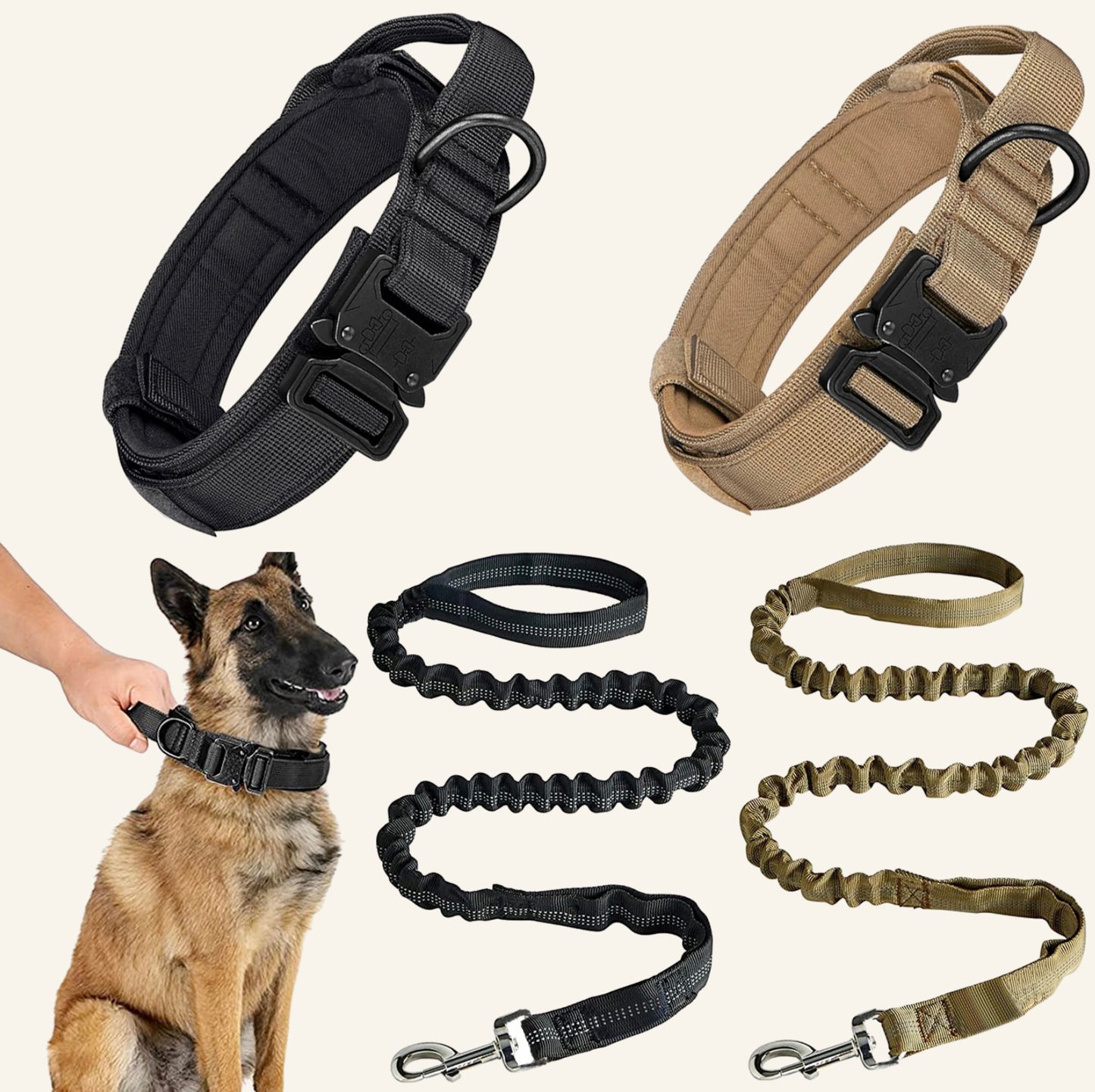Collier tactique haute résistance pour chien, gamme complète Dog Rider.