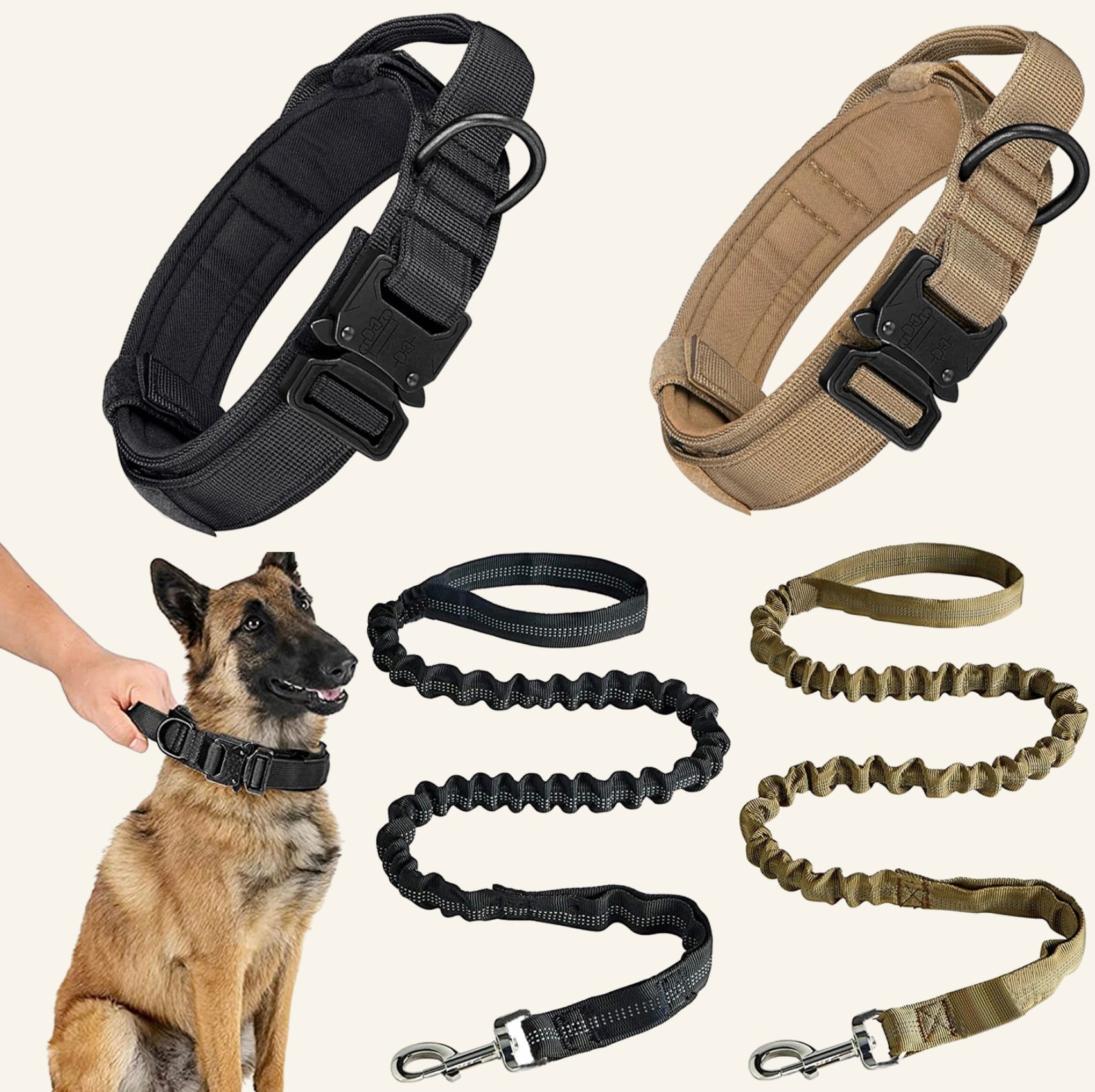 Collier tactique haute résistance pour chien, gamme complète Dog Rider.