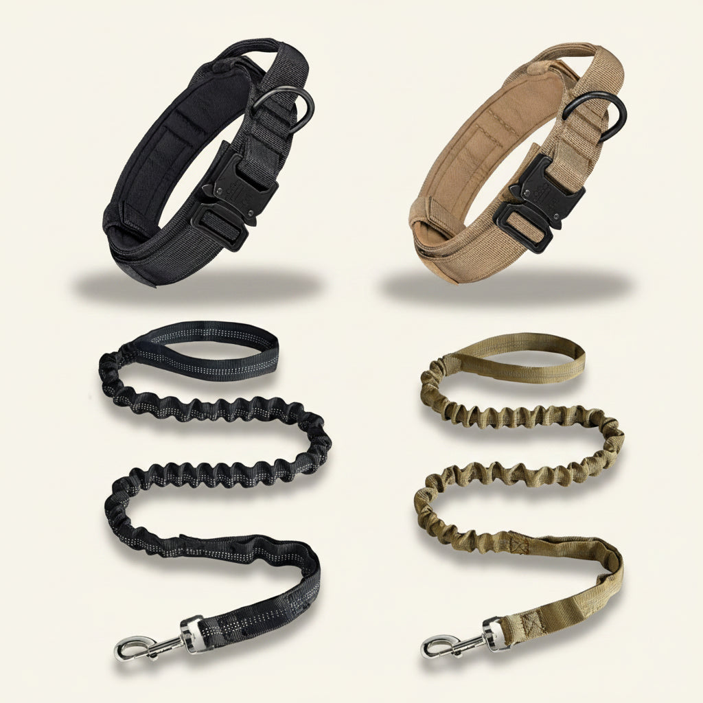 Collier tactique haute résistance pour chien, gamme complète Dog Rider 1