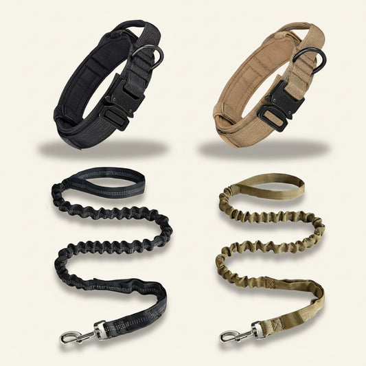 Collier tactique haute résistance pour chien, gamme complète Dog Rider 1